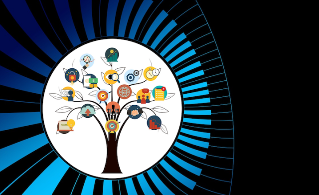 Transferable Skills You Gain During Your Phd Indiabioscience