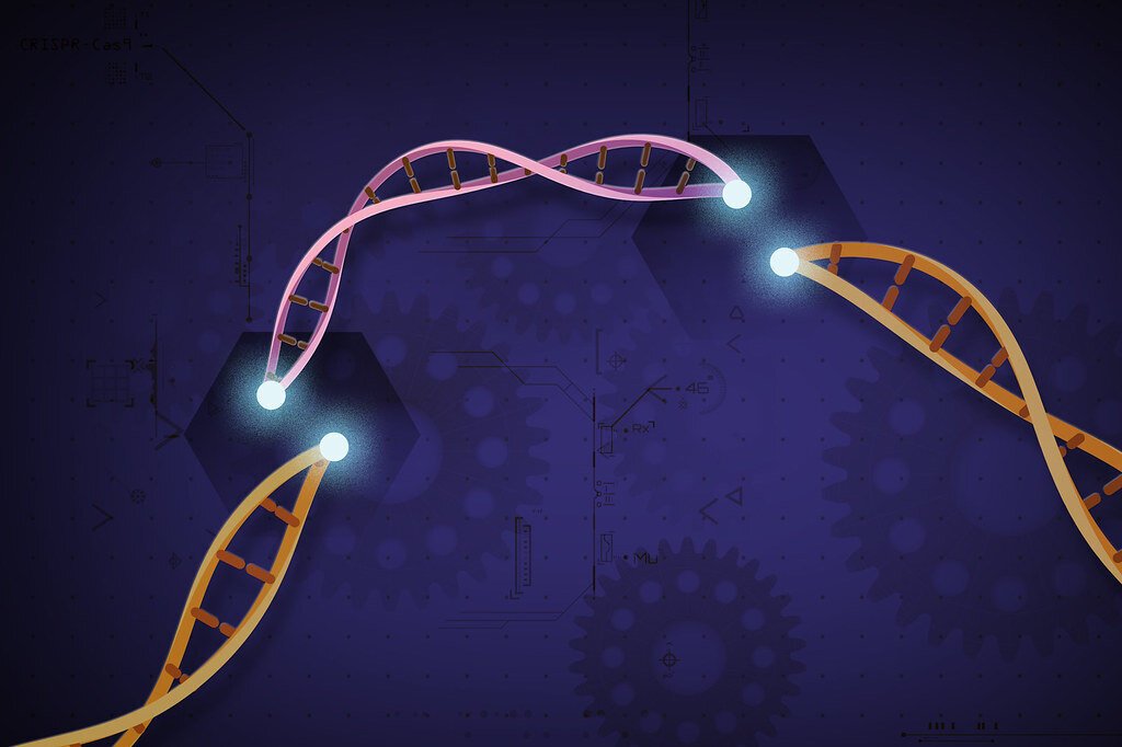 CRISPR&#x20;Varun&#x20;article