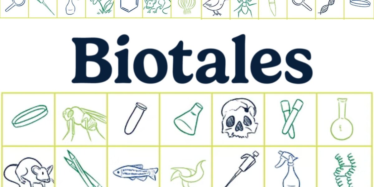 A feeling for biological sciences: Stories of early career biologists (Part 1)