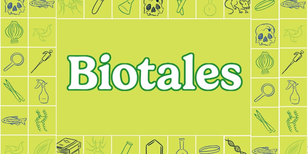 A feeling for biological sciences: Stories of early career biologists (Part 2)