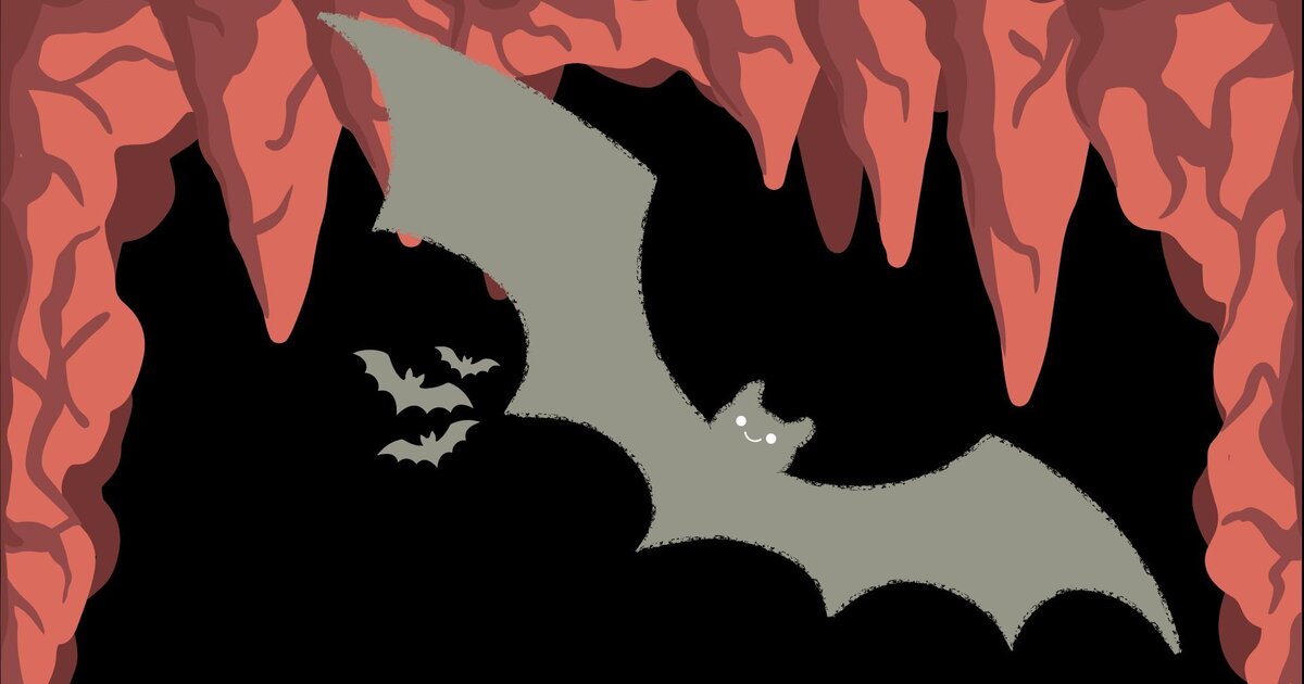 What bats in central Himalayas wants us to know about their caves