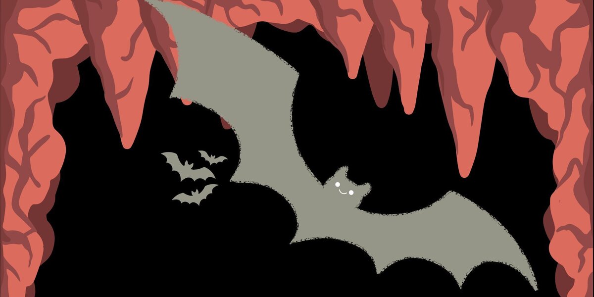 What bats in central Himalayas wants us to know about their caves