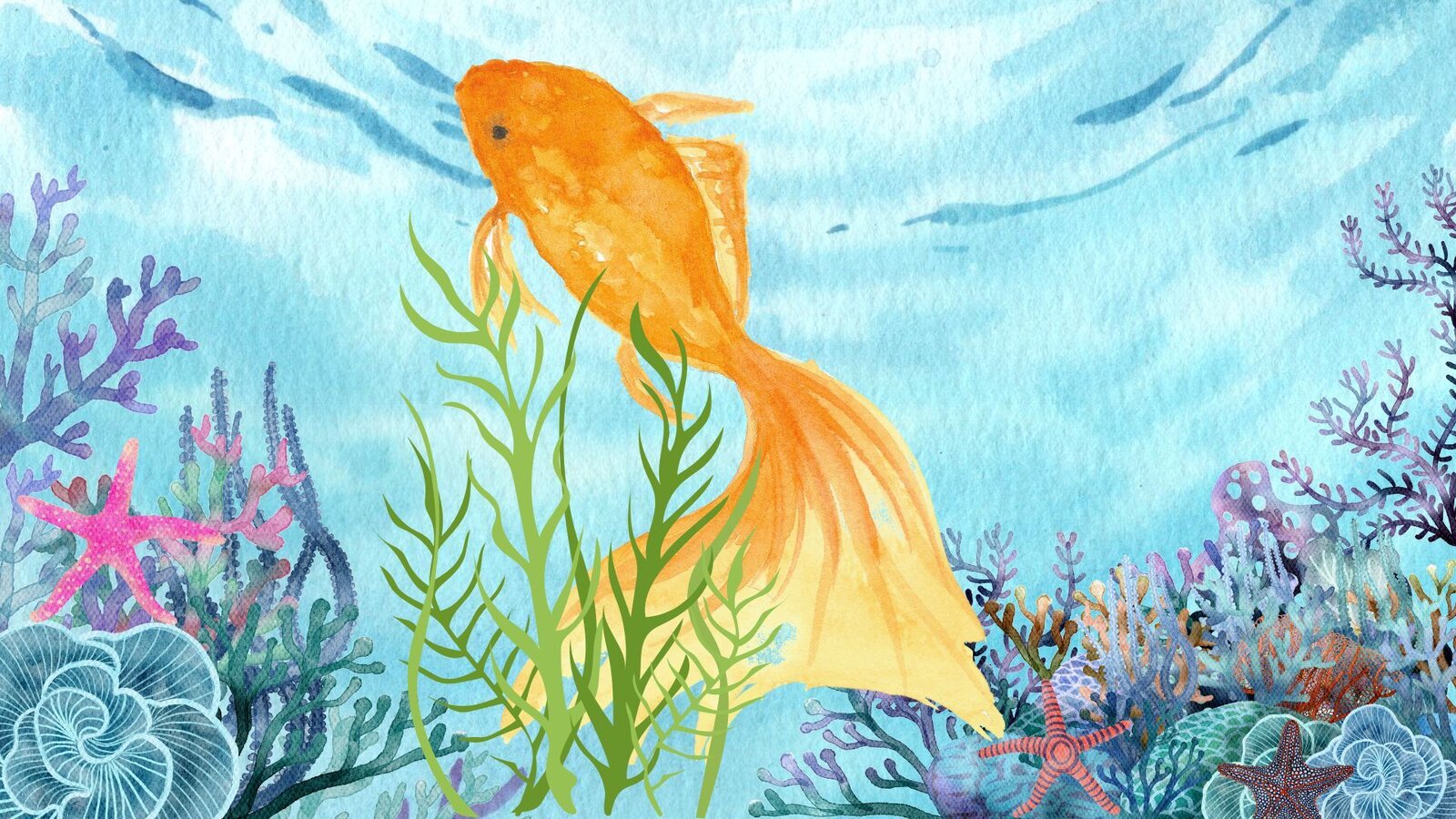 SciTales Goldfish
