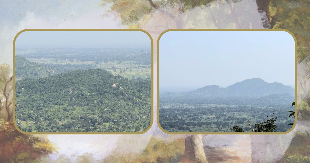 Listening to forests: A field ecologist’s journey through Santhal Pargana