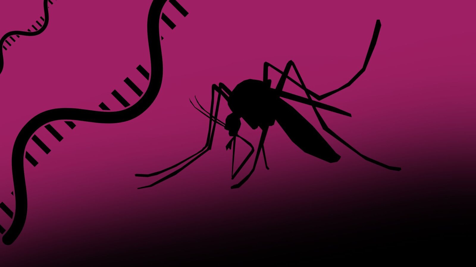 Gayathri title image malaria