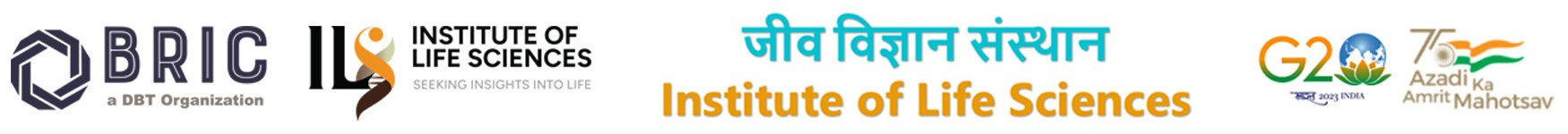 ILS logo