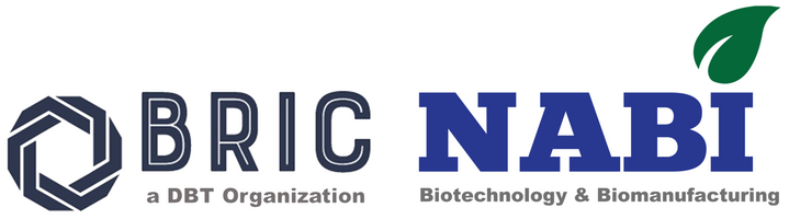 BRIC-NABI logo