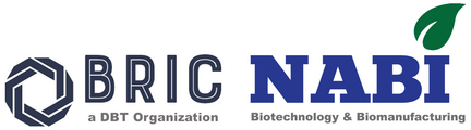 BRIC-NABI