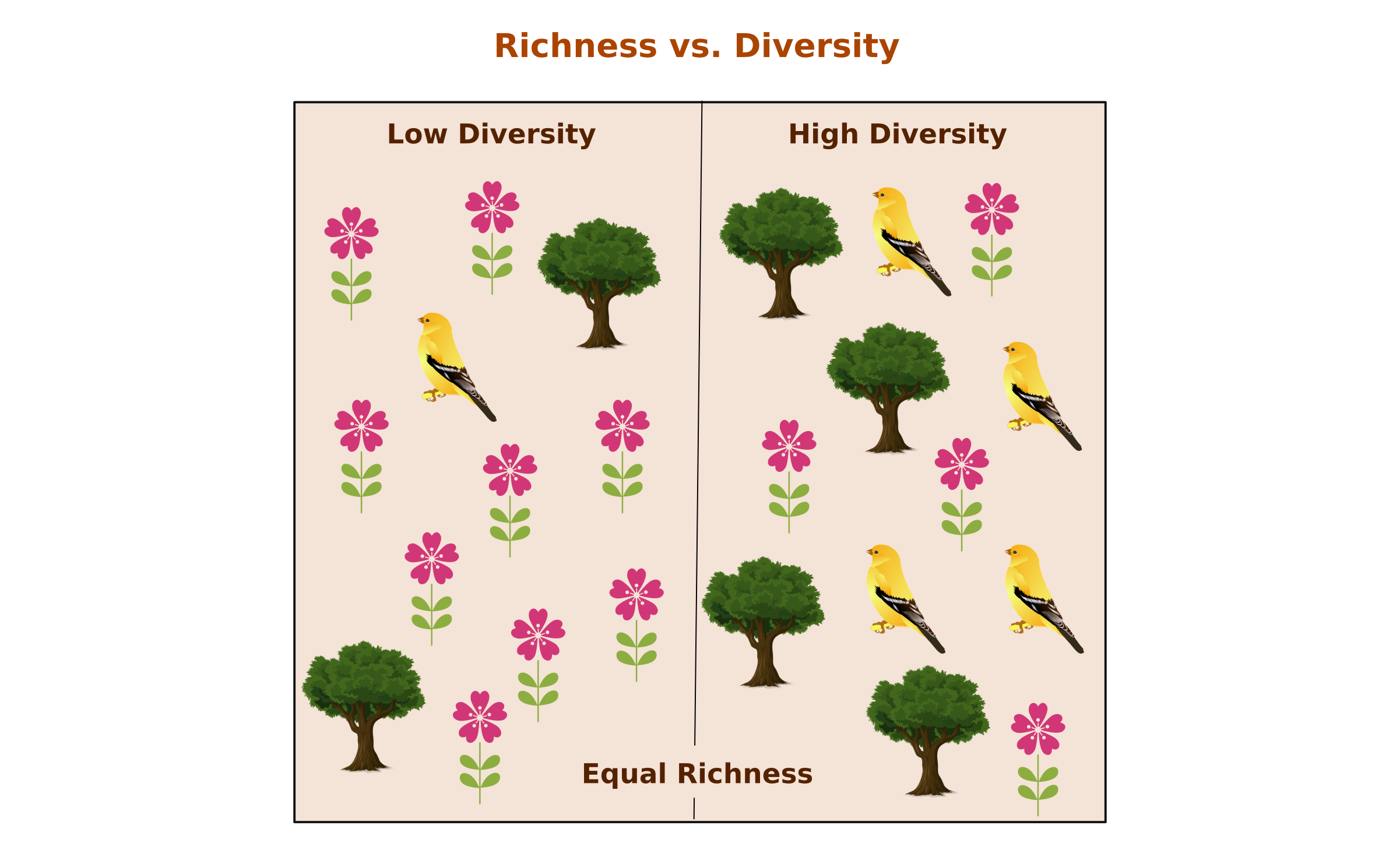 Species Biodiversity Picture Species Biodiversity Picture